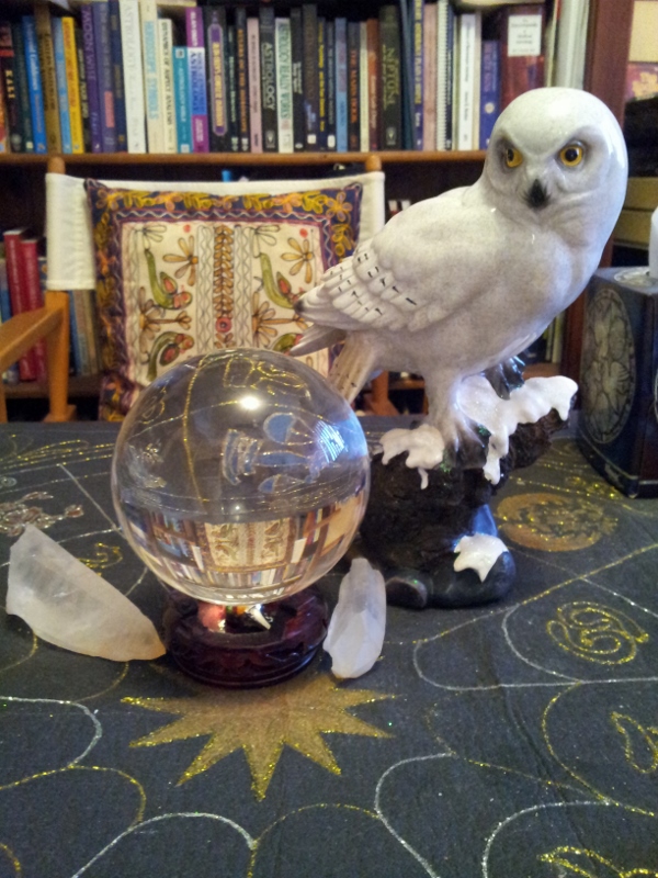 Owl_from_Richard_(600x800)
